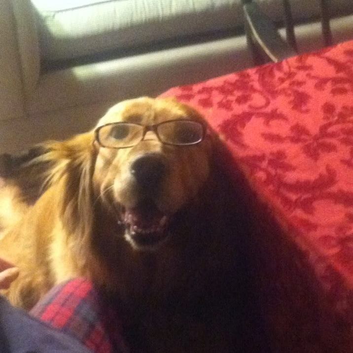 Rudy glasses